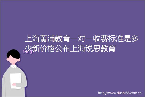 上海黄浦教育一对一收费标准是多少新价格公布上海锐思教育