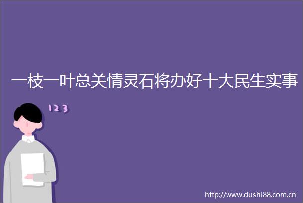 一枝一叶总关情灵石将办好十大民生实事