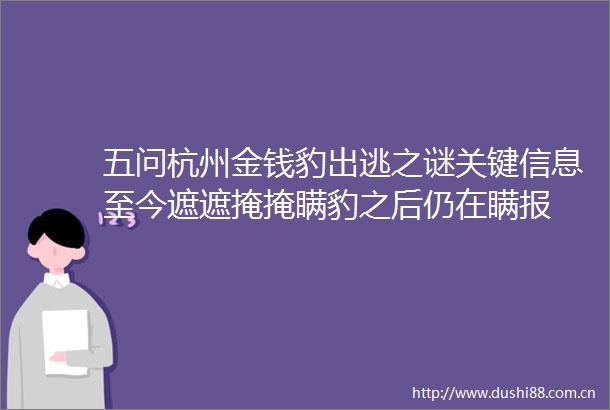 五问杭州金钱豹出逃之谜关键信息至今遮遮掩掩瞒豹之后仍在瞒报