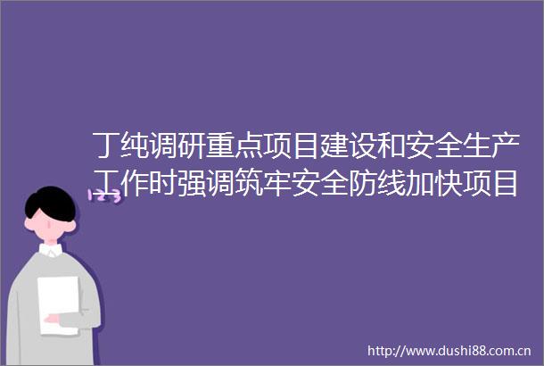 丁纯调研重点项目建设和安全生产工作时强调筑牢安全防线加快项目建设促进全市经济社会高质量发展