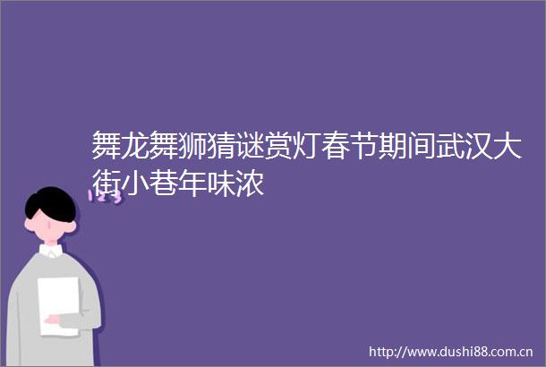 舞龙舞狮猜谜赏灯春节期间武汉大街小巷年味浓