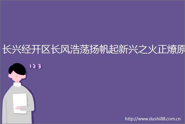 长兴经开区长风浩荡扬帆起新兴之火正燎原