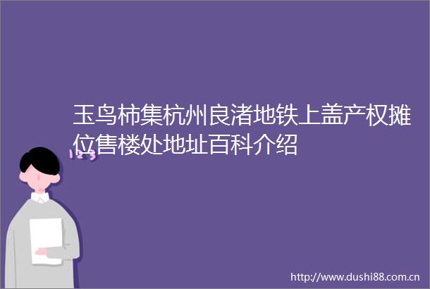 玉鸟柿集杭州良渚地铁上盖产权摊位售楼处地址百科介绍