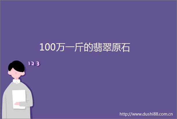 100万一斤的翡翠原石