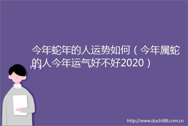 今年蛇年的人运势如何（今年属蛇的人今年运气好不好2020）