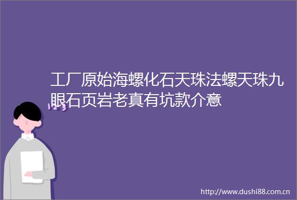 工厂原始海螺化石天珠法螺天珠九眼石页岩老真有坑款介意