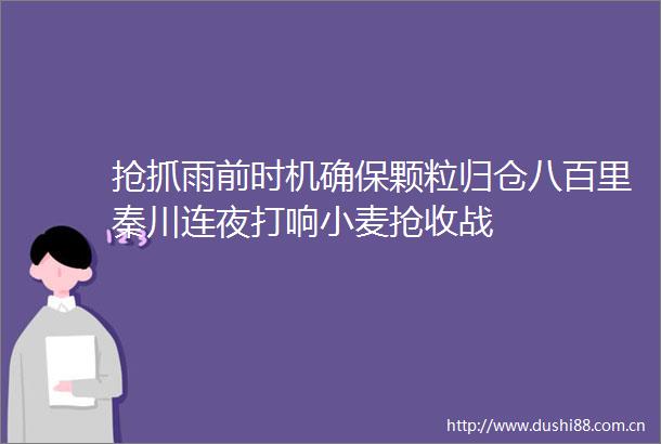 抢抓雨前时机确保颗粒归仓八百里秦川连夜打响小麦抢收战