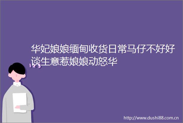 华妃娘娘缅甸收货日常马仔不好好谈生意惹娘娘动怒华
