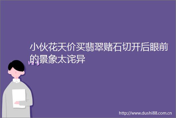 小伙花天价买翡翠赌石切开后眼前的景象太诧异