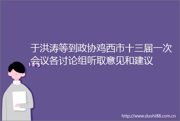 于洪涛等到政协鸡西市十三届一次会议各讨论组听取意见和建议
