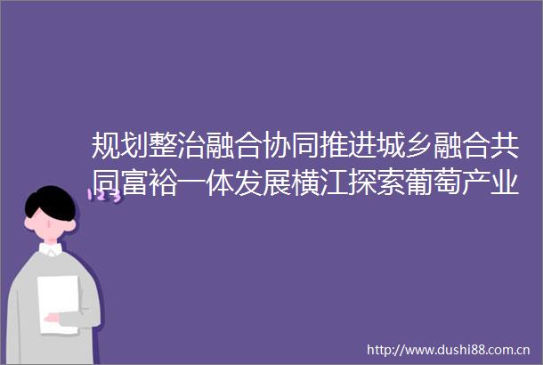 规划整治融合协同推进城乡融合共同富裕一体发展横江探索葡萄产业升级新路径