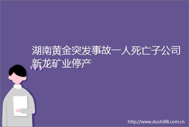 湖南黄金突发事故一人死亡子公司新龙矿业停产