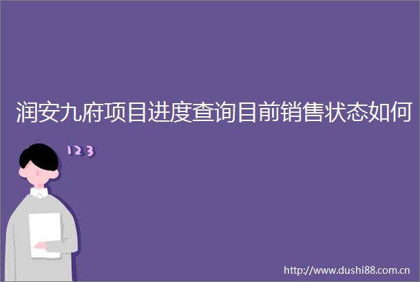 润安九府项目进度查询目前销售状态如何