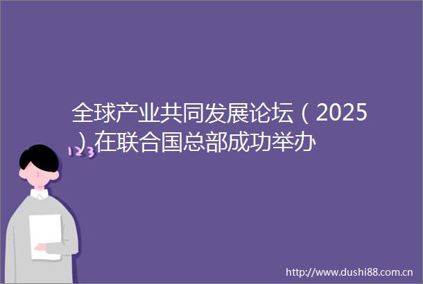 全球产业共同发展论坛（2025）在联合国总部成功举办