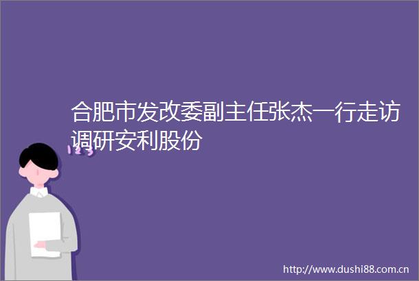 合肥市发改委副主任张杰一行走访调研安利股份