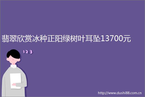 翡翠欣赏冰种正阳绿树叶耳坠13700元