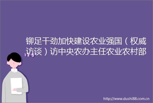 铆足干劲加快建设农业强国（权威访谈）访中央农办主任农业农村部部长唐仁健