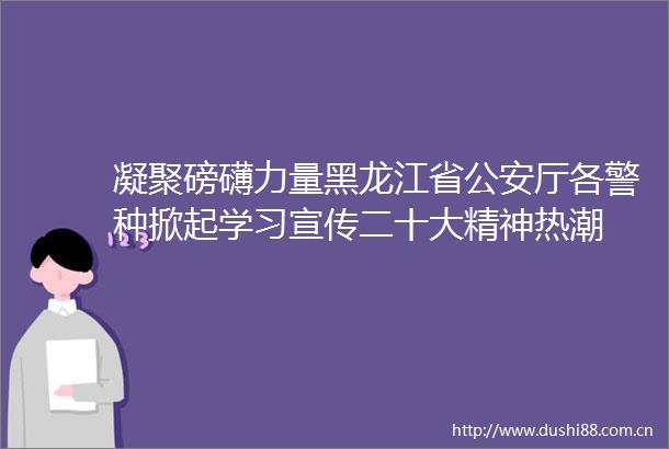 凝聚磅礴力量黑龙江省厅各警种掀起学习宣传二十大精神热潮