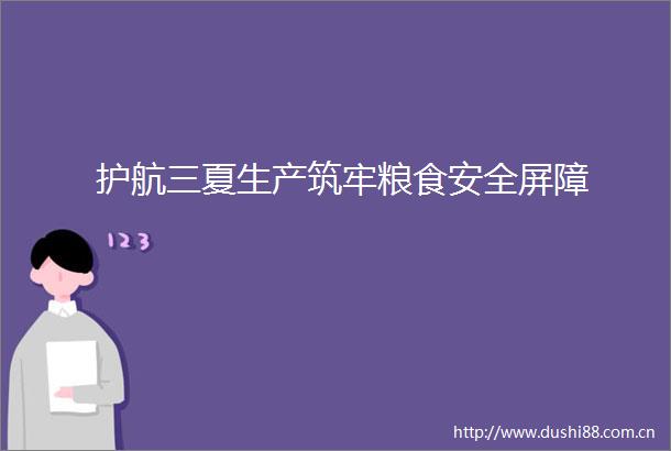 护航三夏生产筑牢粮食安全屏障