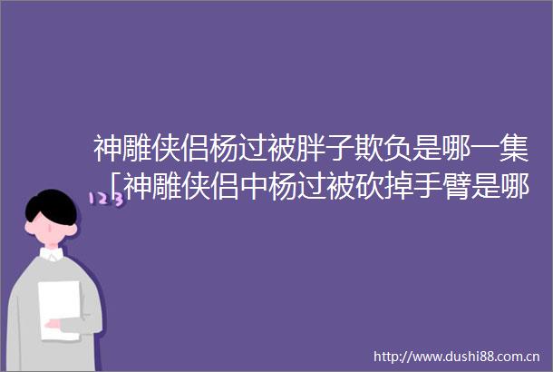 神雕侠侣杨过被胖子欺负是哪一集「神雕侠侣中杨过被砍掉手臂是哪一集」