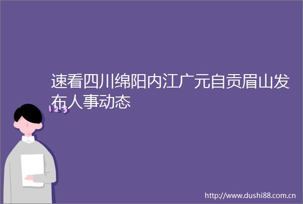 速看四川绵阳内江广元自贡眉山发布人事动态