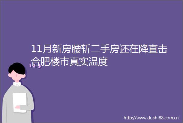 11月新房腰斩二手房还在降直击合肥楼市真实温度