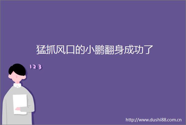猛抓风口的小鹏翻身成功了