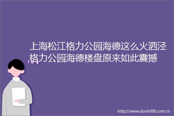 上海松江格力公园海德这么火泗泾格力公园海德楼盘原来如此震撼