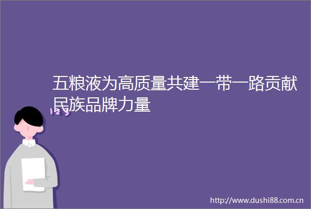 五粮液为高质量共建一带一路贡献民族品牌力量