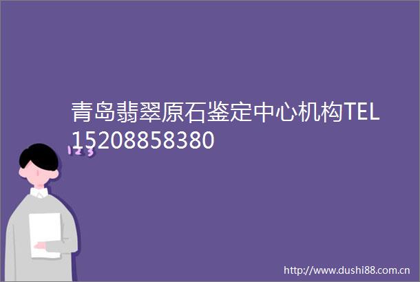 青岛翡翠原石鉴定中心机构TEL15208858380