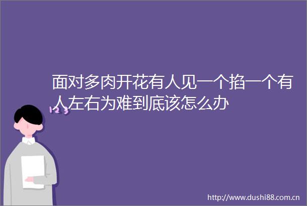面对多肉开花有人见一个掐一个有人左右为难到底该怎么办