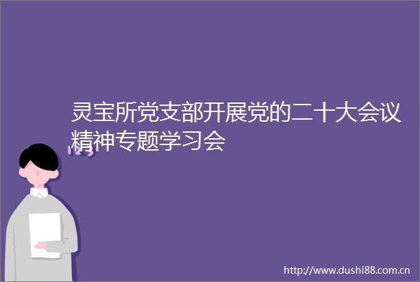 灵宝所党支部开展党的二十大会议精神专题学习会