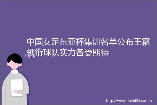 女足杯集训名单公布王霜领衔球队实力备受期待