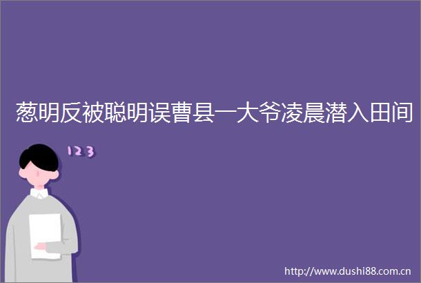 葱明反被聪明误曹县一大爷凌晨潜入田间