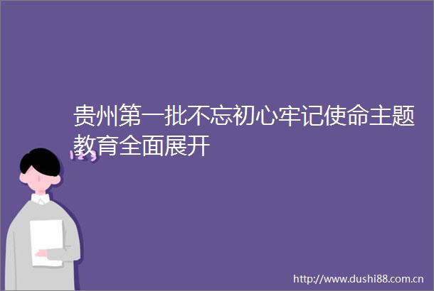 贵州第一批不忘初心牢记使命主题教育全面展开