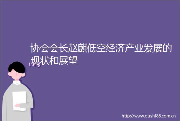 协会会长赵麒低空经济产业发展的现状和展望
