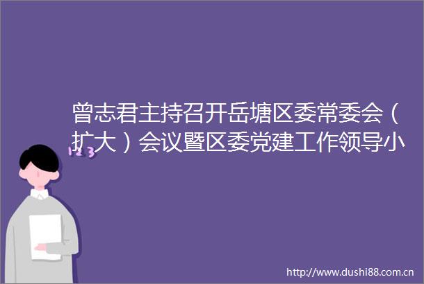 曾志君主持召开岳塘区委常委会（扩大）会议暨区委党建工作小组会议