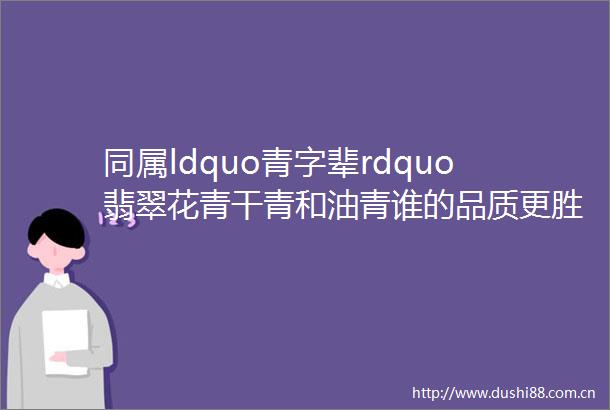 同属ldquo青字辈rdquo翡翠花青干青和油青谁的品质更胜一筹