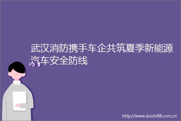 武汉消防携手车企共筑夏季新能源汽车安全防线