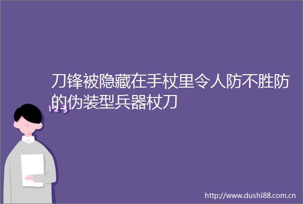 刀锋被隐藏在手杖里令人防不胜防的伪装型兵器杖刀
