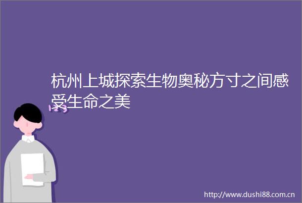 杭州上城探索生物奥秘方寸之间感受生命之美