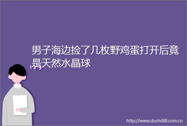 男子海边捡了几枚野鸡蛋打开后竟是天然水晶球