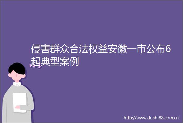 侵害群众合法权益安徽一市公布6起典型案例
