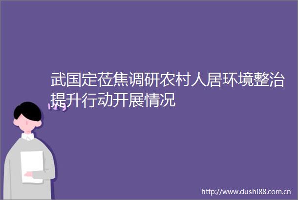 武国定莅焦调研农村人居环境整治提升行动开展情况