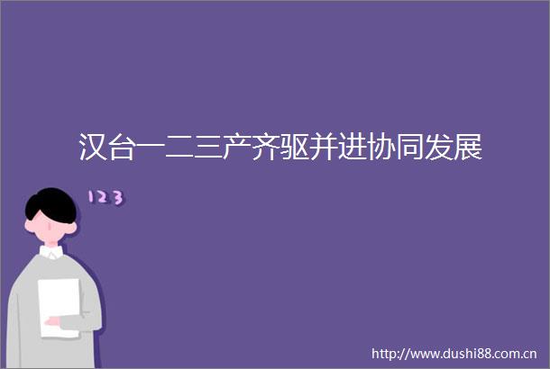 汉台一二三产齐驱并进协同发展