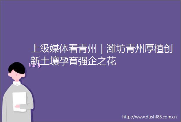 上级媒体看青州｜潍坊青州厚植创新土壤孕育强企之花