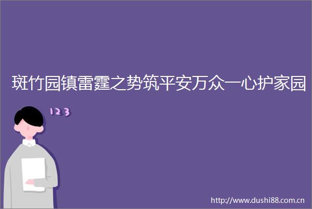 斑竹园镇雷霆之势筑平安万众一心护家园