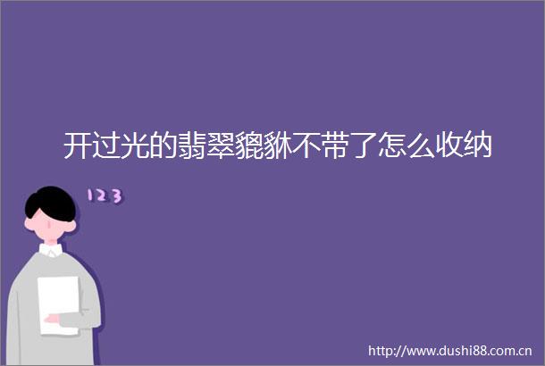开过光的翡翠貔貅不带了怎么收纳