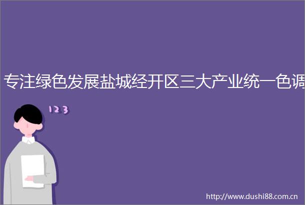 专注绿色发展盐城经开区三大产业统一色调