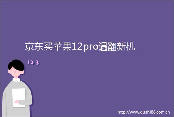 京东买苹果12pro遇翻新机